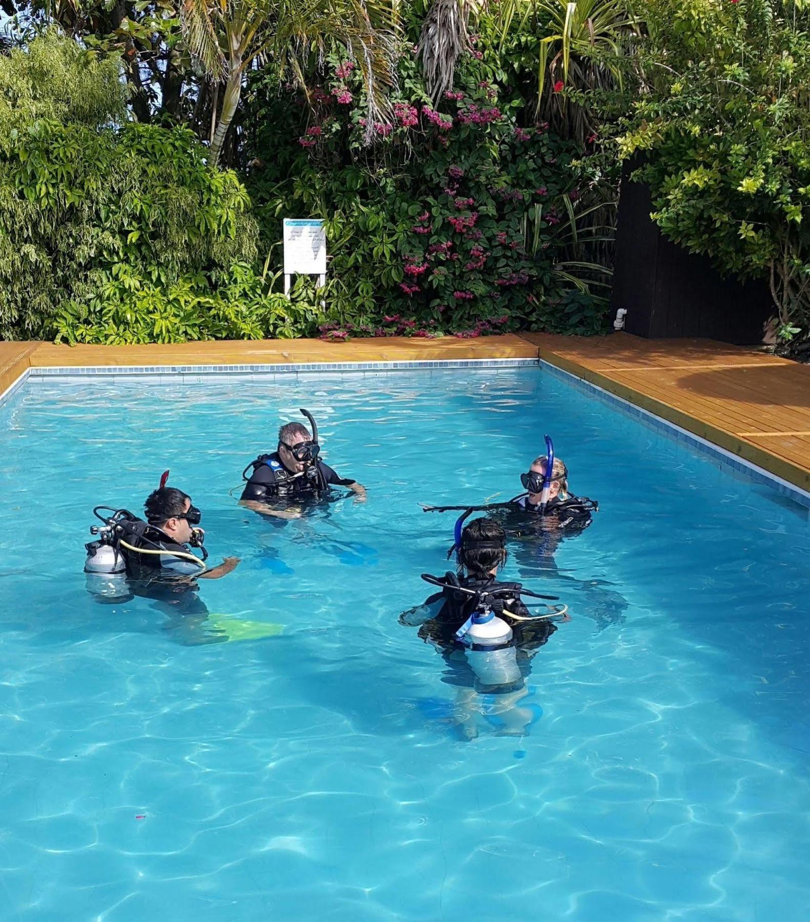 The Black Pearl Beachside Apartments Ραροτόνγκα Εξωτερικό φωτογραφία